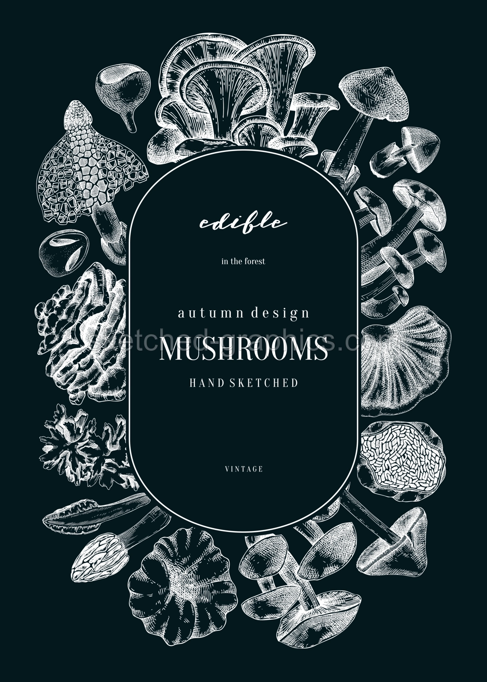 Forest mushrooms background on chalkboad. Edible mushrooms wreath, vintage card design. Fungi, healthy food, vegan product sketches. Autumn hand-drawn vector illustration. Engraved design template Illustration